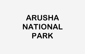 ARUSHA