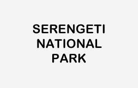 SERENGETI