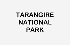 tarangire
